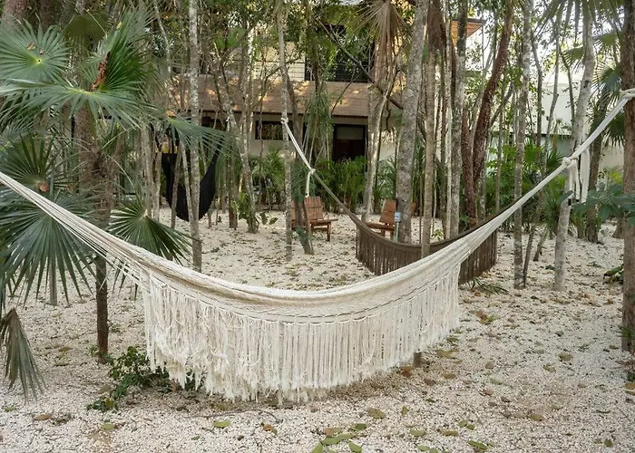 New 1 Bed - - Private Terrace Apartment Tulum