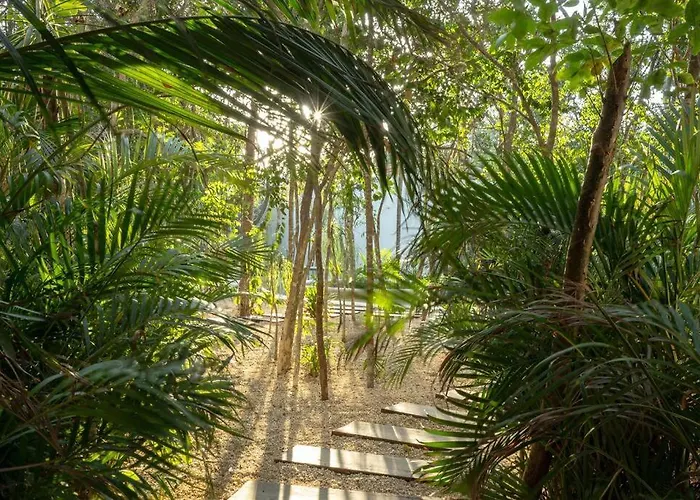 New 1 Bed - - Private Terrace Tulum