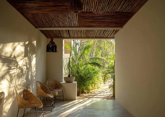 Apartment New 1 Bed - - Private Terrace Tulum